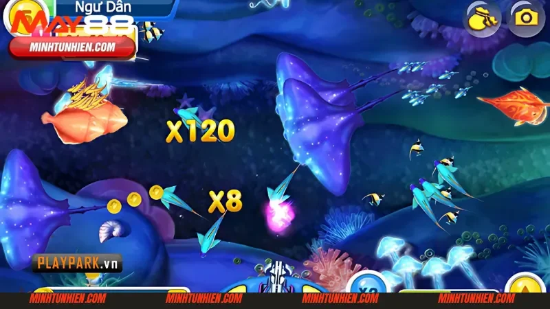 Hướng dẫn chơi Vua Săn Cá cách tham gia chi tiết